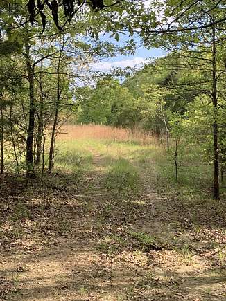 20 Acres of Recreational Land for Sale in Ravenden, Arkansas