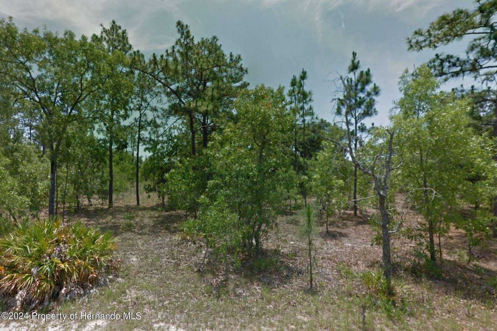 0.25 Acres of Residential Land for Sale in Homosassa, Florida