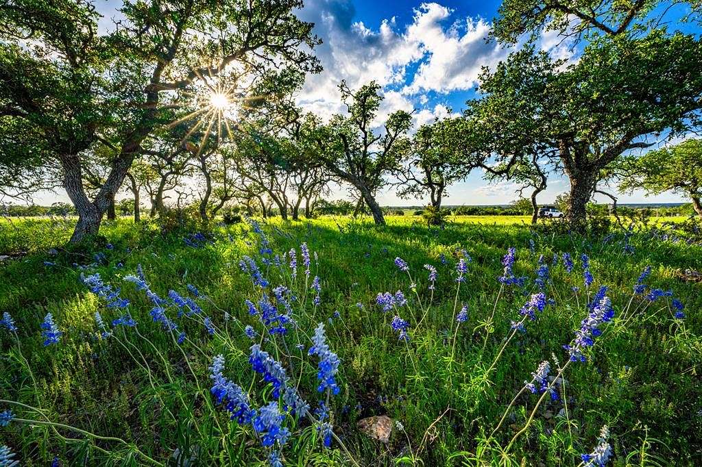 5.1 Acres of Residential Land for Sale in Harper, Texas