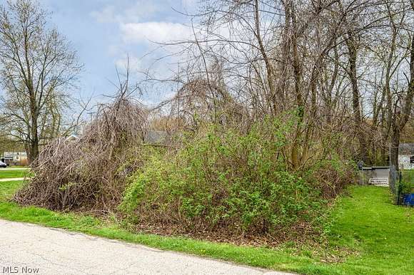 0.098 Acres of Residential Land for Sale in Painesville, Ohio