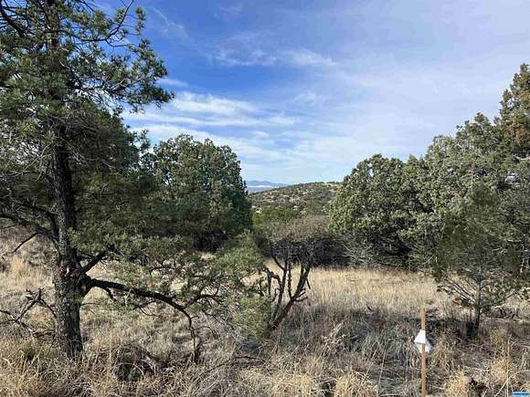 19.9 Acres of Land for Sale in Silver City, New Mexico