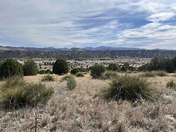10 Acres of Residential Land for Sale in Mimbres, New Mexico