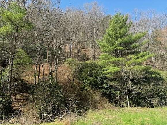 25 Acres of Land for Sale in Austinville, Virginia