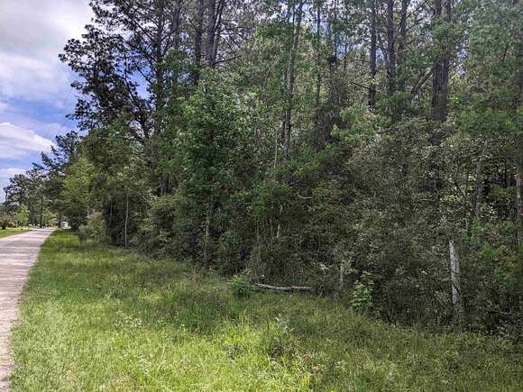 5 Acres of Residential Land for Sale in Buna, Texas