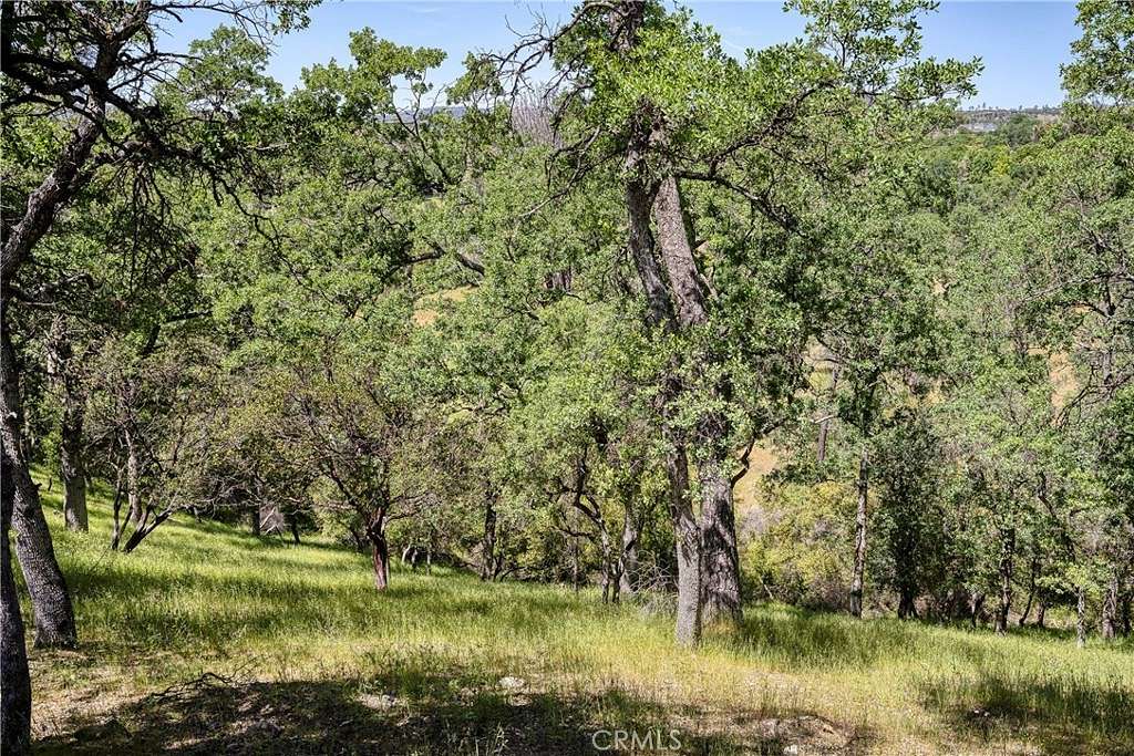 0.29 Acres of Residential Land for Sale in Hidden Valley Lake, California