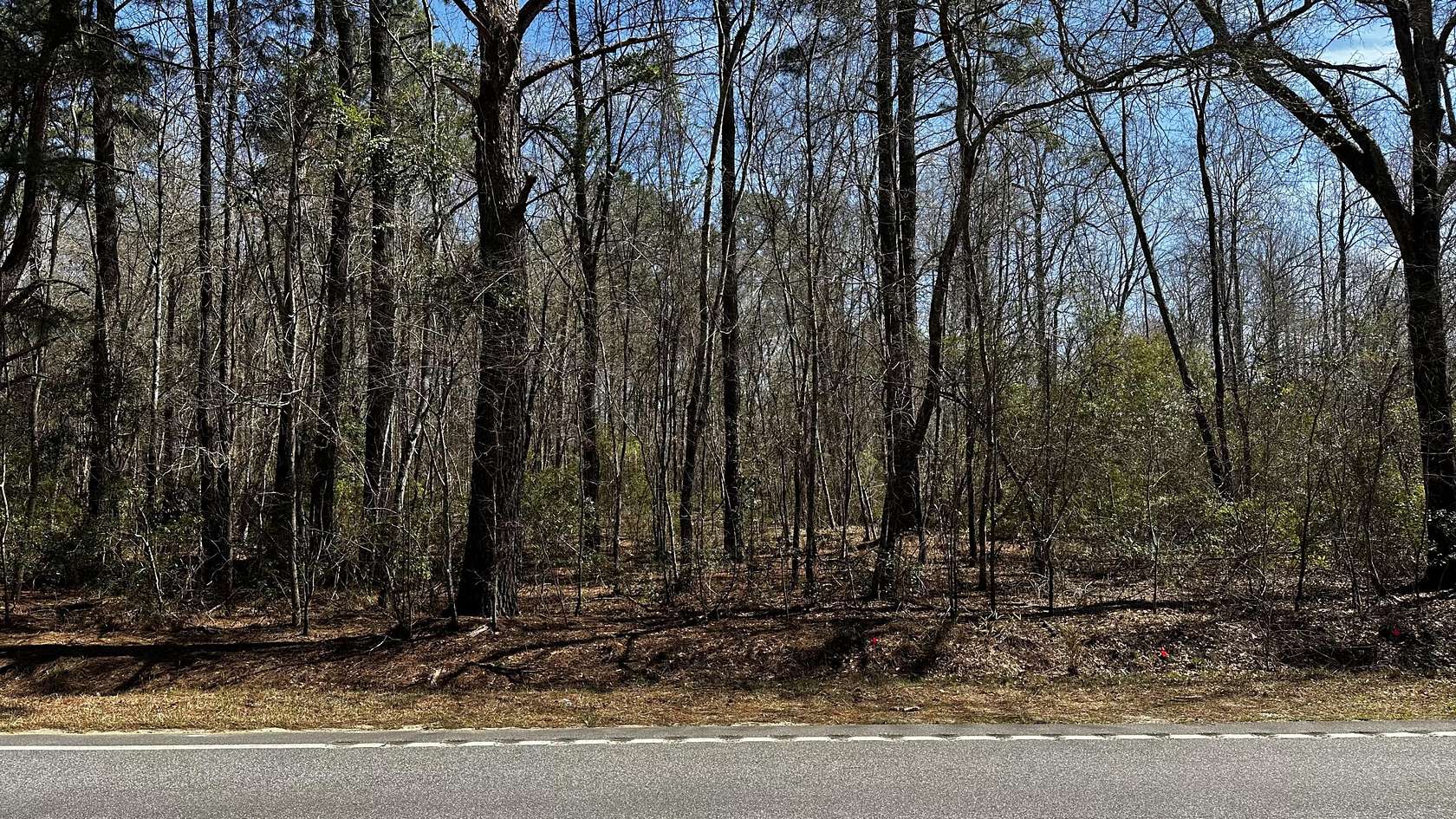 12.3 Acres of Recreational Land for Sale in Williston, South Carolina