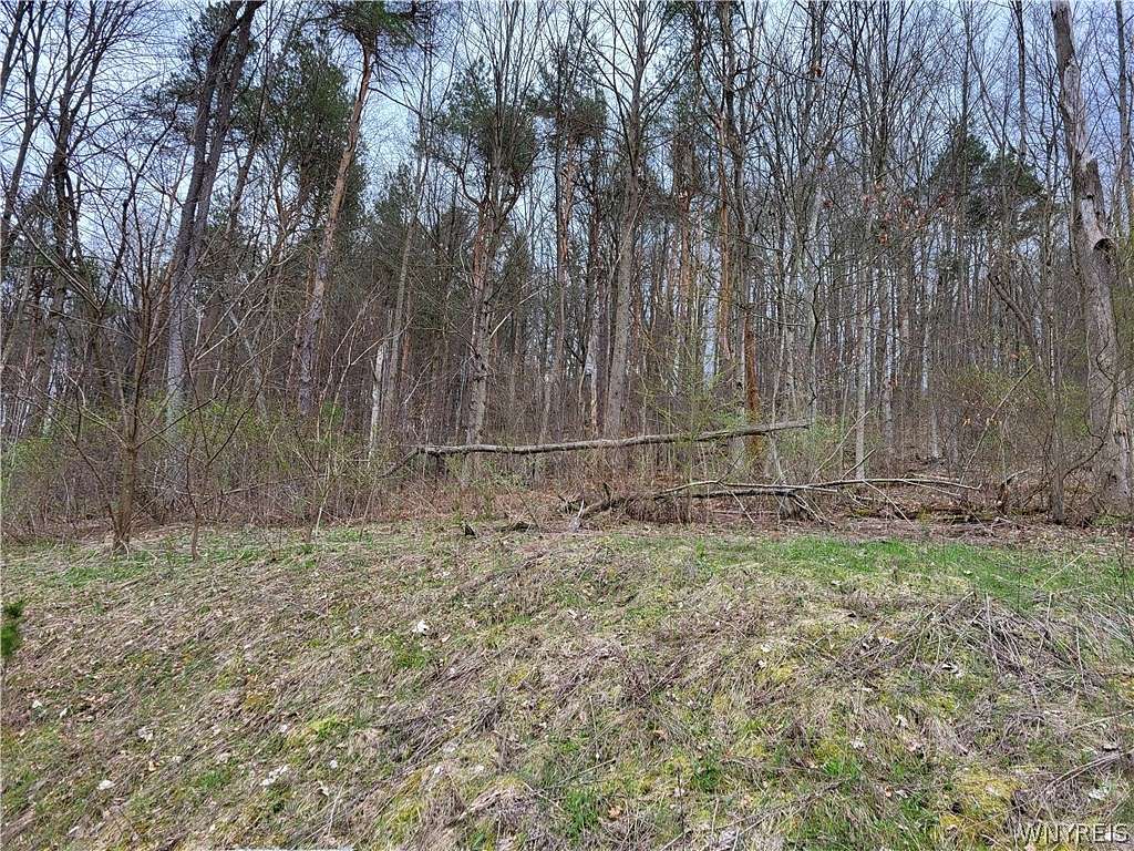 0.57 Acres of Residential Land for Sale in Mansfield Town, New York