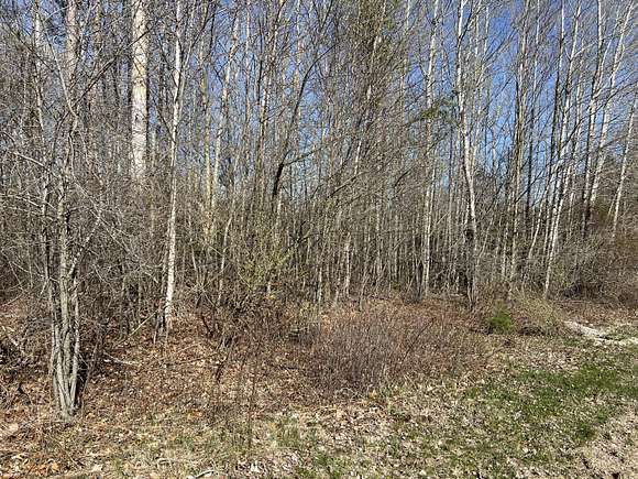 1.4 Acres of Residential Land for Sale in Ludington, Michigan