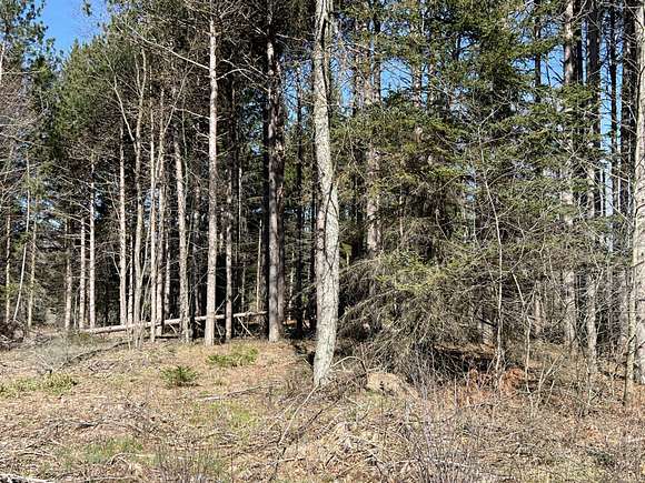 0.8 Acres of Residential Land for Sale in Ludington, Michigan