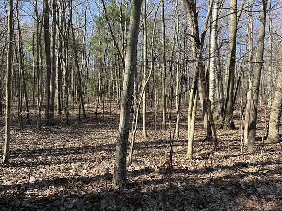 0.18 Acres of Residential Land for Sale in Ludington, Michigan