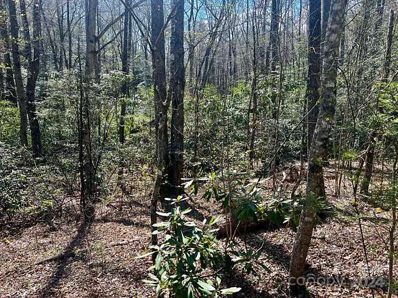 60 Acres of Recreational Land for Sale in Lake Toxaway, North Carolina