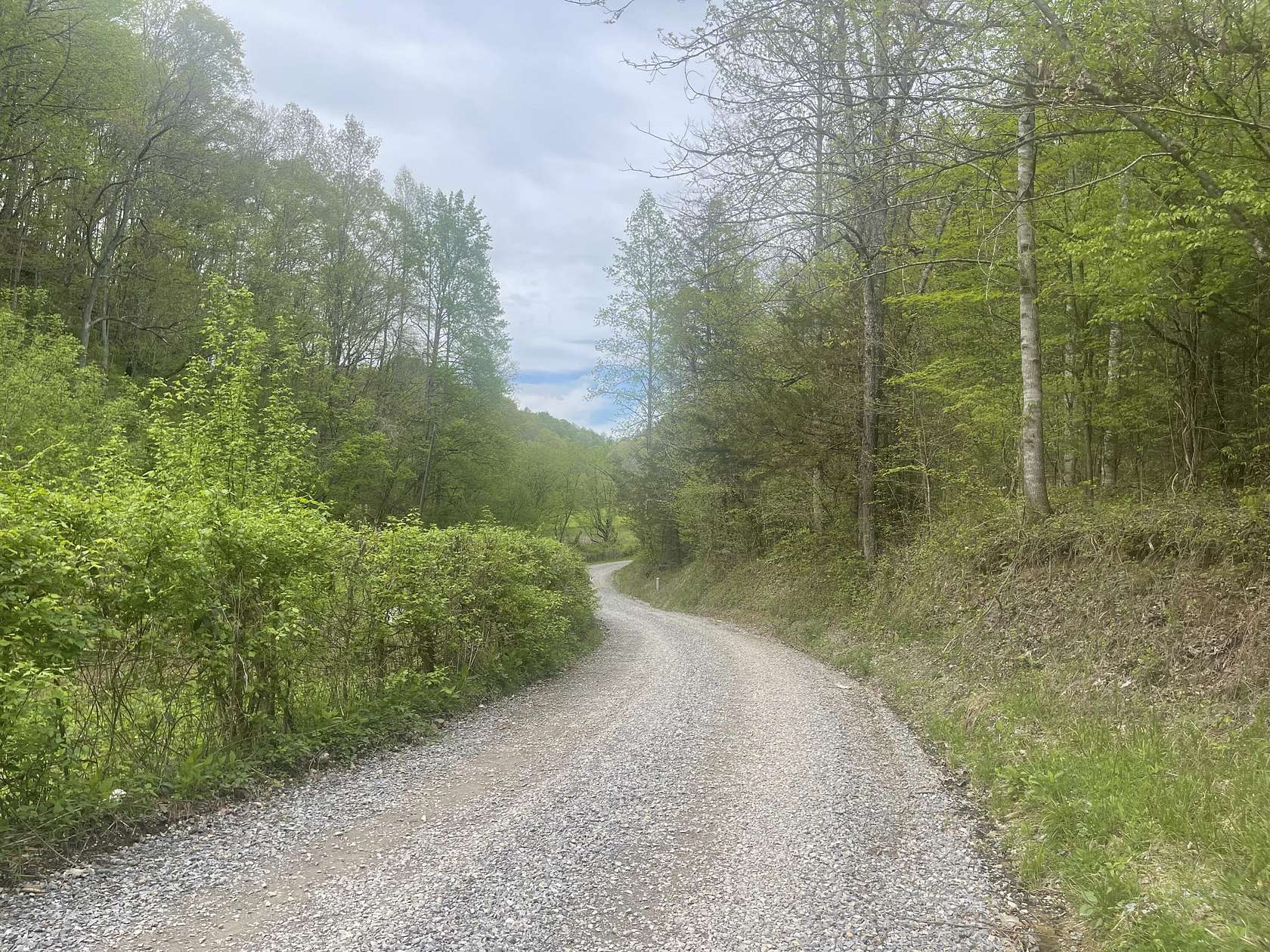 5 Acres of Land for Sale in Parrottsville, Tennessee