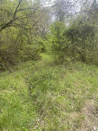 5 Acres of Land for Sale in Parrottsville, Tennessee