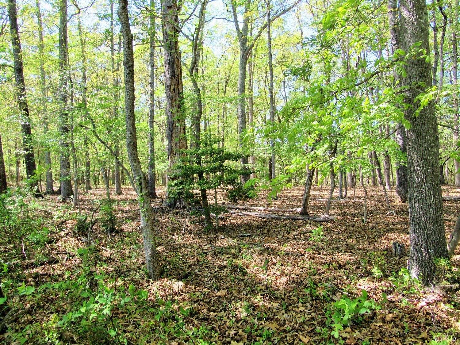 2 Acres of Residential Land for Sale in Amherst, Virginia
