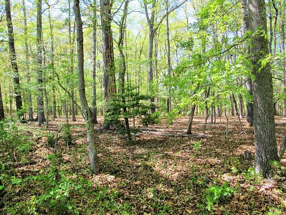 2.03 Acres of Residential Land for Sale in Amherst, Virginia