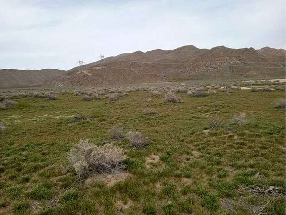 10 Acres of Land for Sale in Lucerne Valley, California