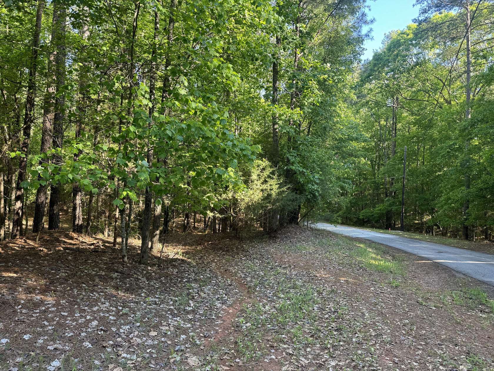 5.4 Acres of Residential Land for Sale in Appling, Georgia