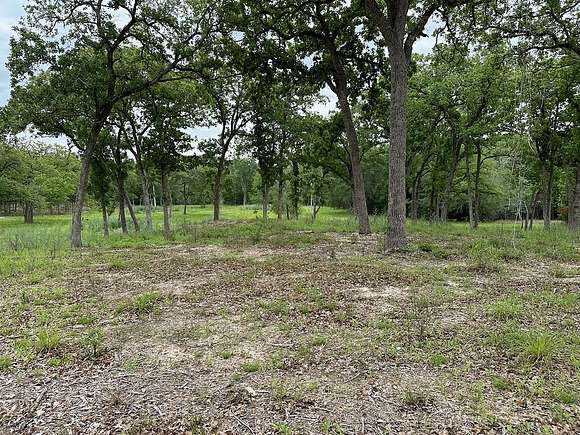 35.2 Acres of Recreational Land & Farm for Sale in La Grange, Texas