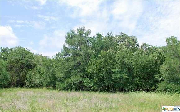 11.2 Acres of Land for Sale in Moulton, Texas