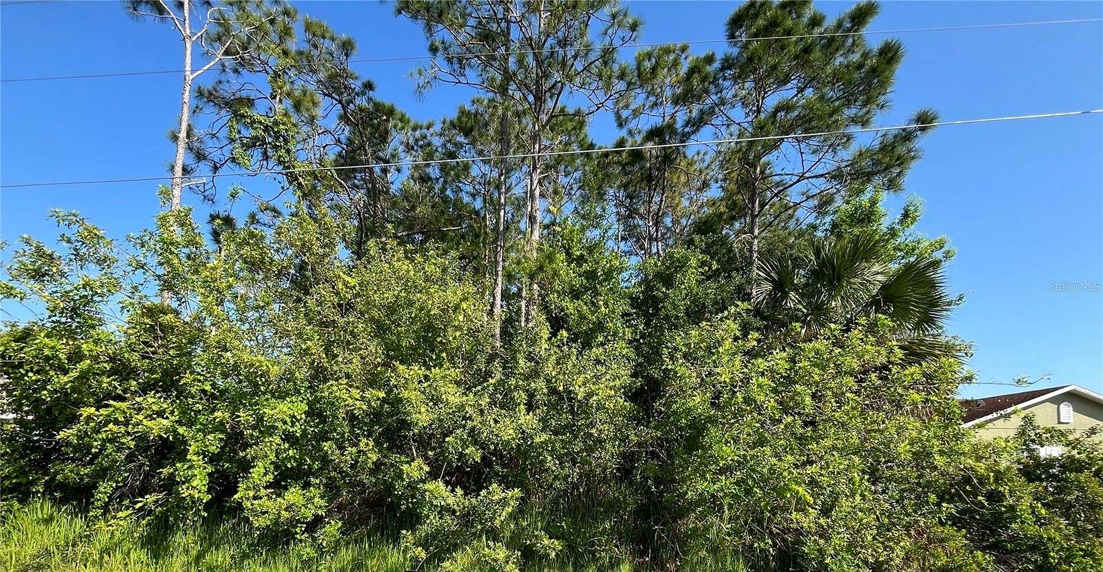 0.19 Acres of Land for Sale in Kissimmee, Florida