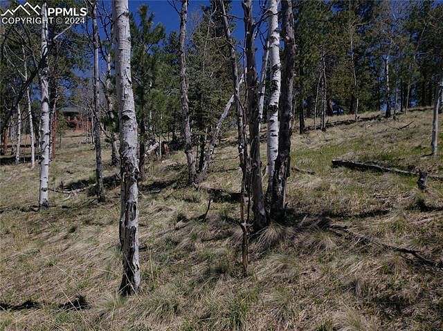 0.98 Acres of Land for Sale in Divide, Colorado