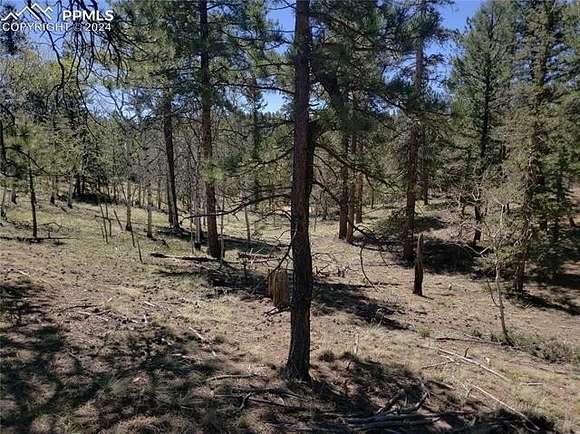 0.98 Acres of Land for Sale in Divide, Colorado