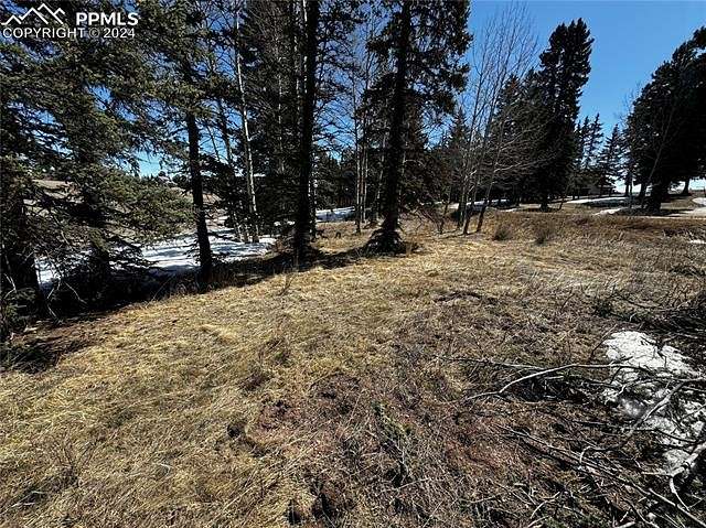 2 Acres of Residential Land for Sale in Divide, Colorado