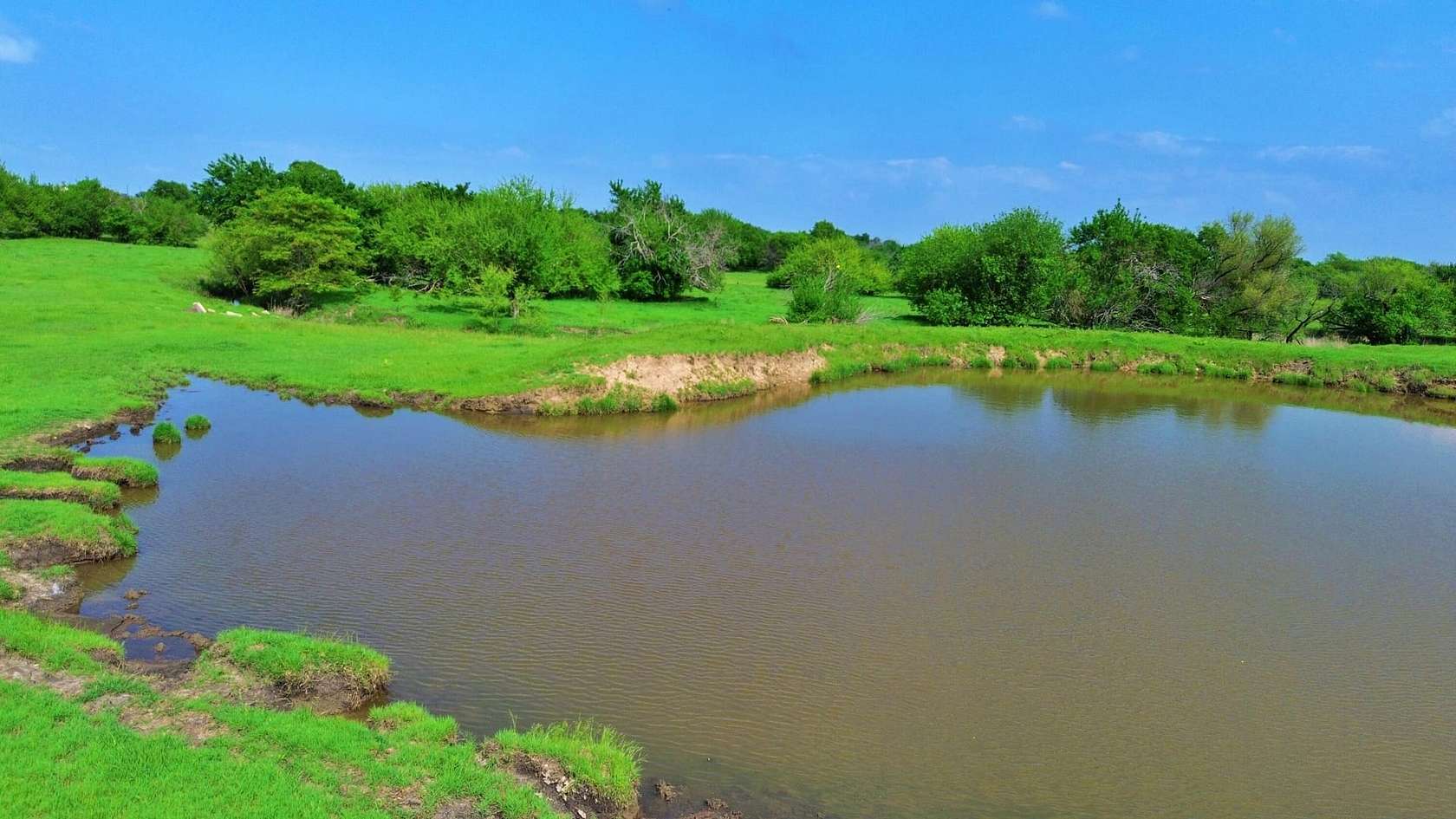 115 Acres of Land for Sale in Era, Texas