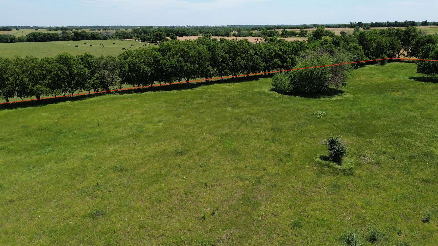 115 Acres of Recreational Land & Farm for Sale in Era, Texas