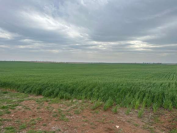 156 Acres of Land for Sale in Weatherford, Oklahoma