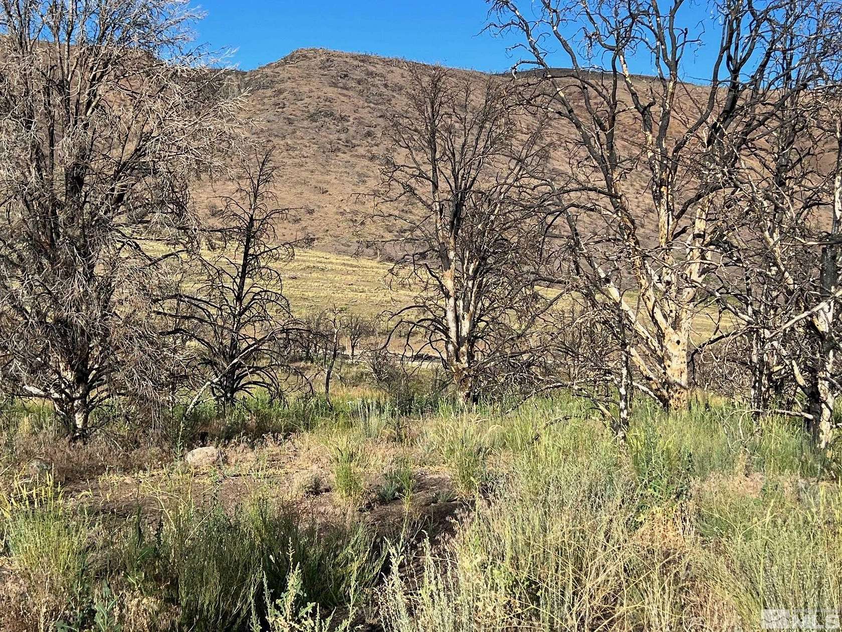 6.3 Acres of Residential Land for Sale in Gardnerville, Nevada