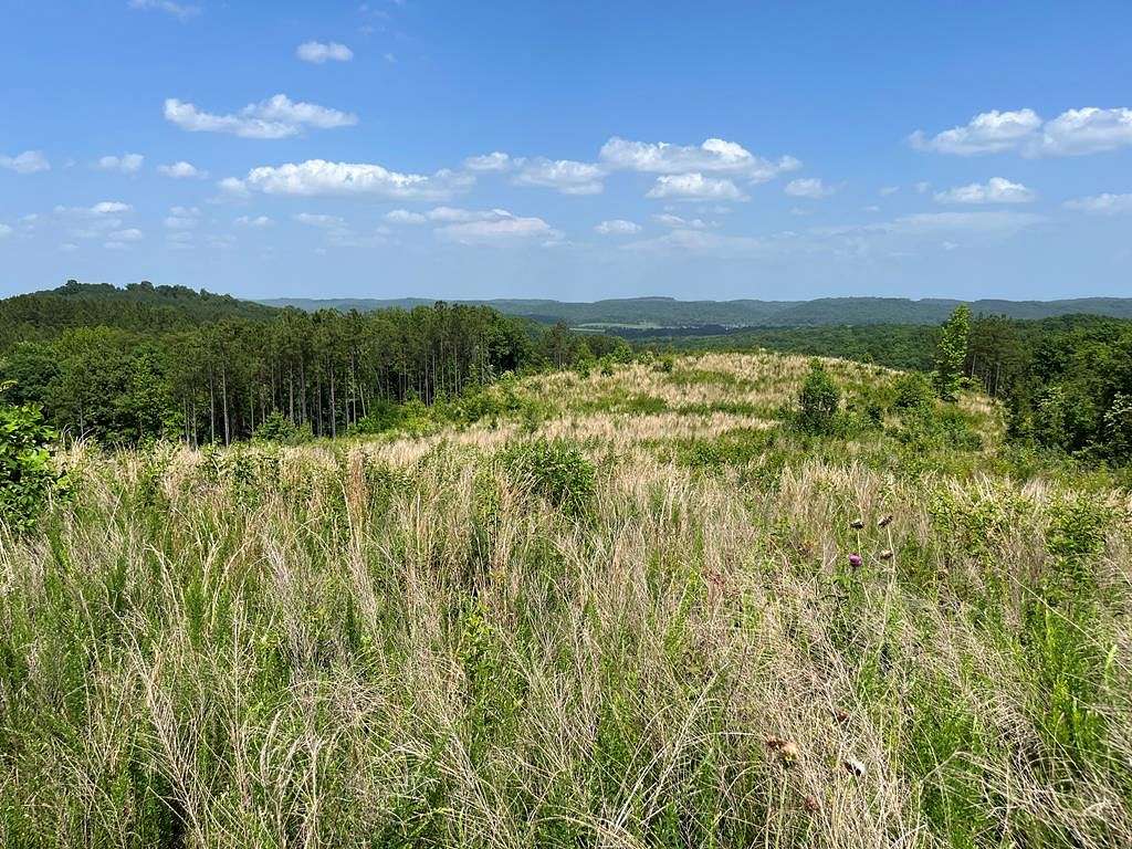 136 Acres of Land for Sale in Athens, Tennessee