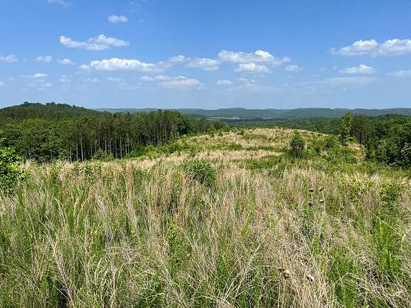 135.9 Acres of Agricultural Land for Sale in Athens, Tennessee