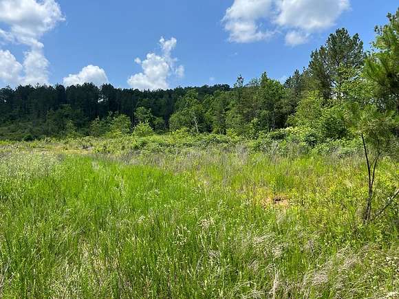 53 Acres of Land for Sale in Athens, Tennessee