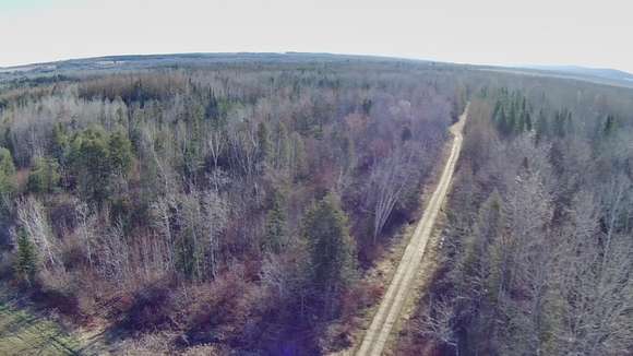 61.3 Acres of Land for Sale in Washburn, Maine