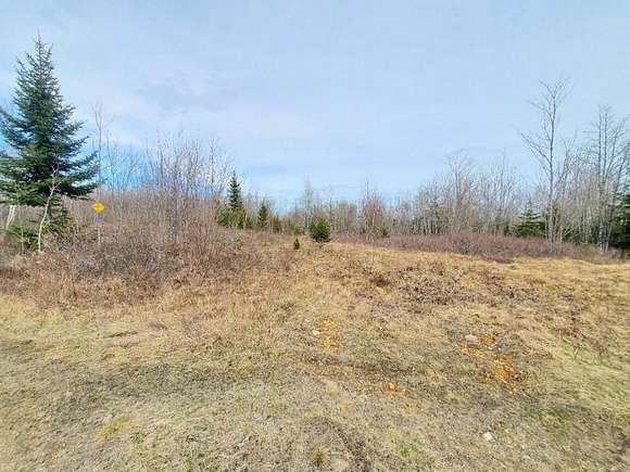 14 Acres of Land for Sale in Addison, Maine