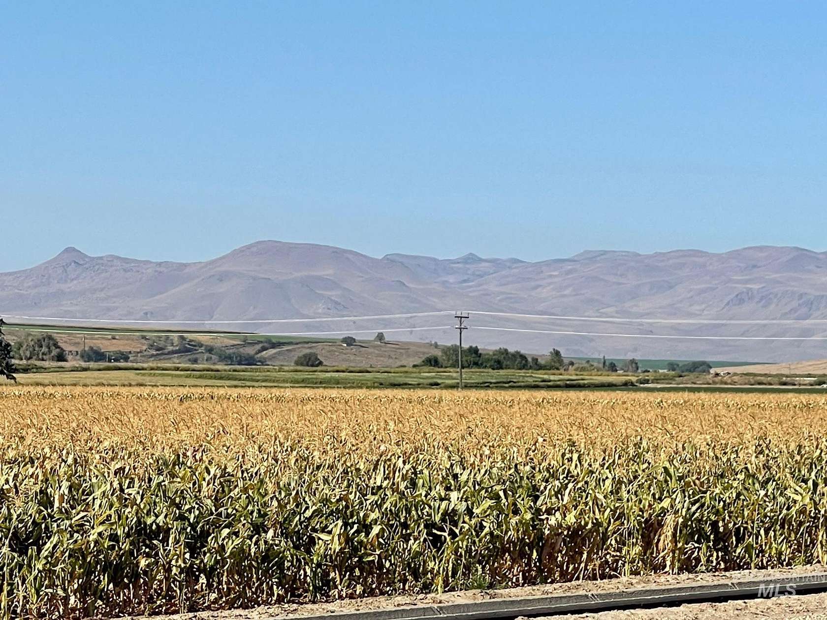 53.51 Acres of Agricultural Land for Sale in Melba, Idaho