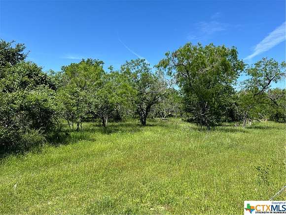 15.287 Acres of Land for Sale in Gonzales, Texas
