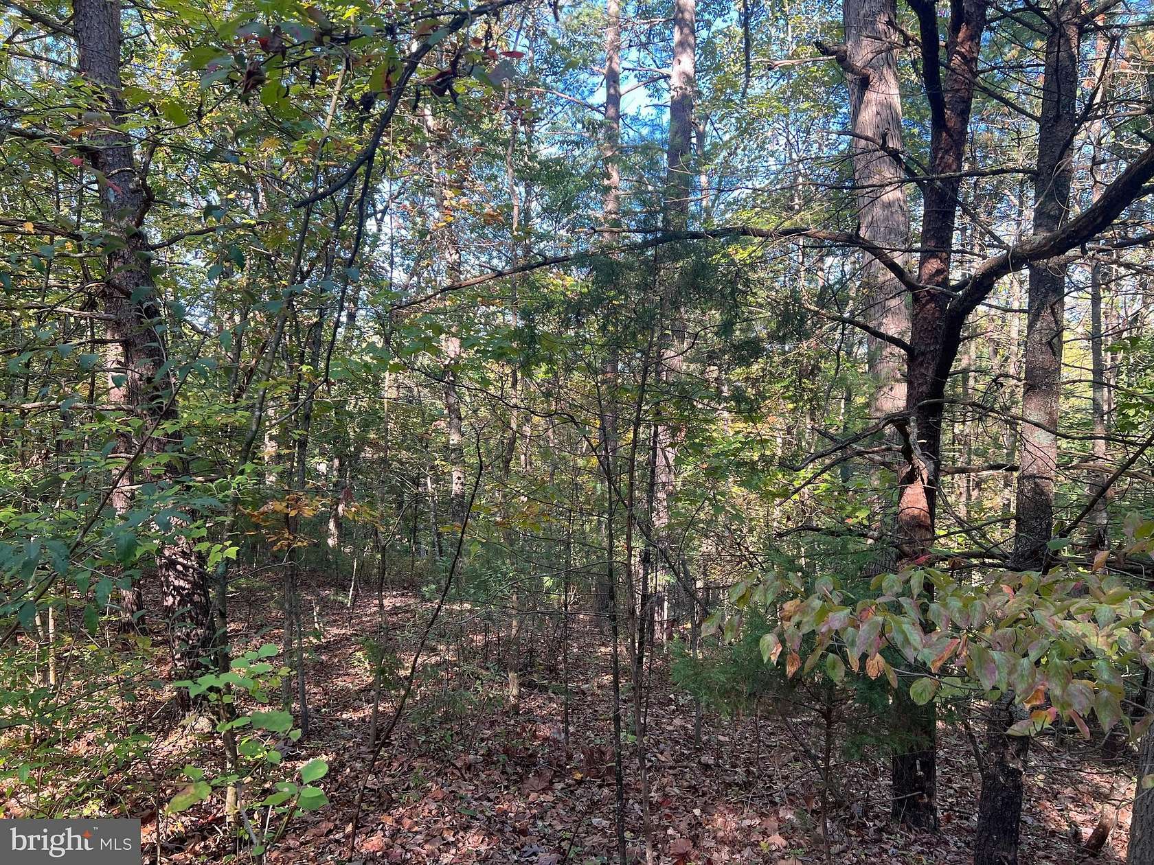 0.35 Acres of Land for Sale in Basye, Virginia