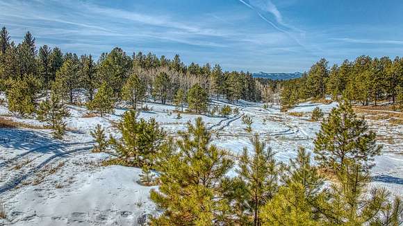 35 Acres of Recreational Land for Sale in Florissant, Colorado