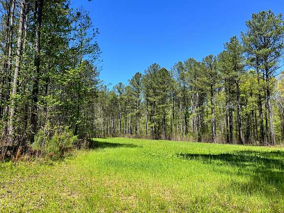 463 Acres of Recreational Land for Sale in Hamilton, Alabama