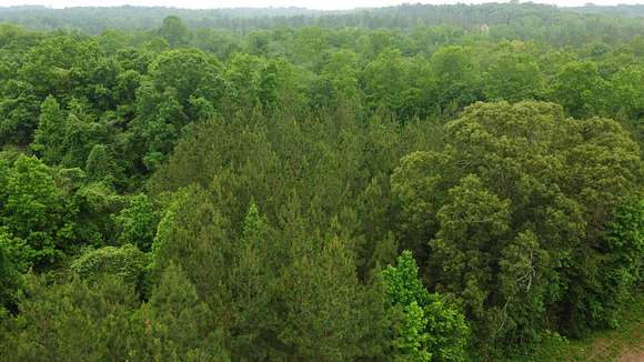 6.7 Acres of Improved Land for Sale in Waverly, Alabama