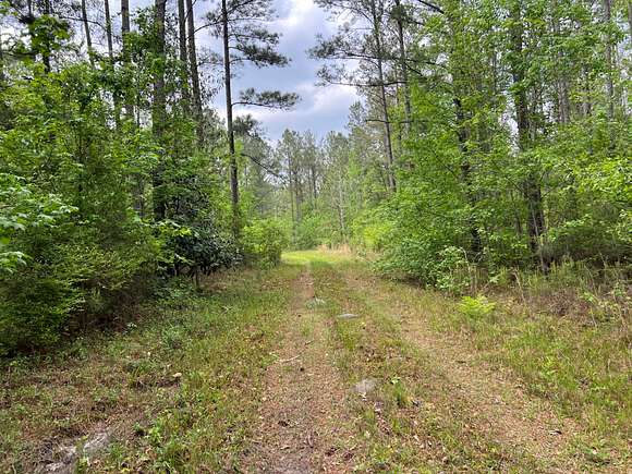 155 Acres of Recreational Land for Sale in Union Springs, Alabama