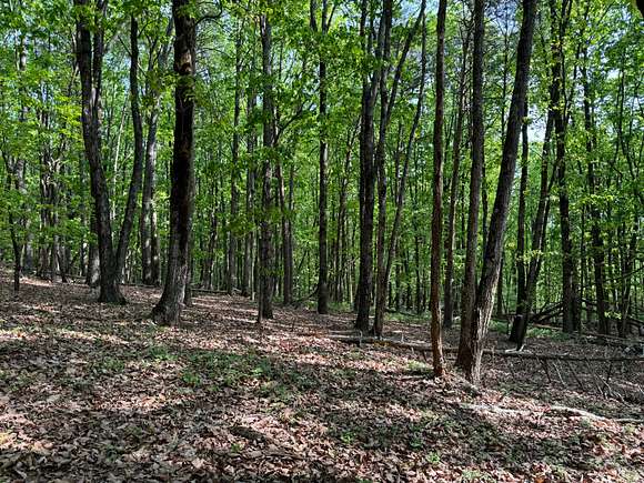 11 Acres of Recreational Land for Sale in Clermont, Georgia