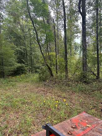 48 Acres of Land for Sale in Oxford, Mississippi