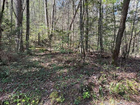 1.96 Acres of Land for Sale in Murphy, North Carolina