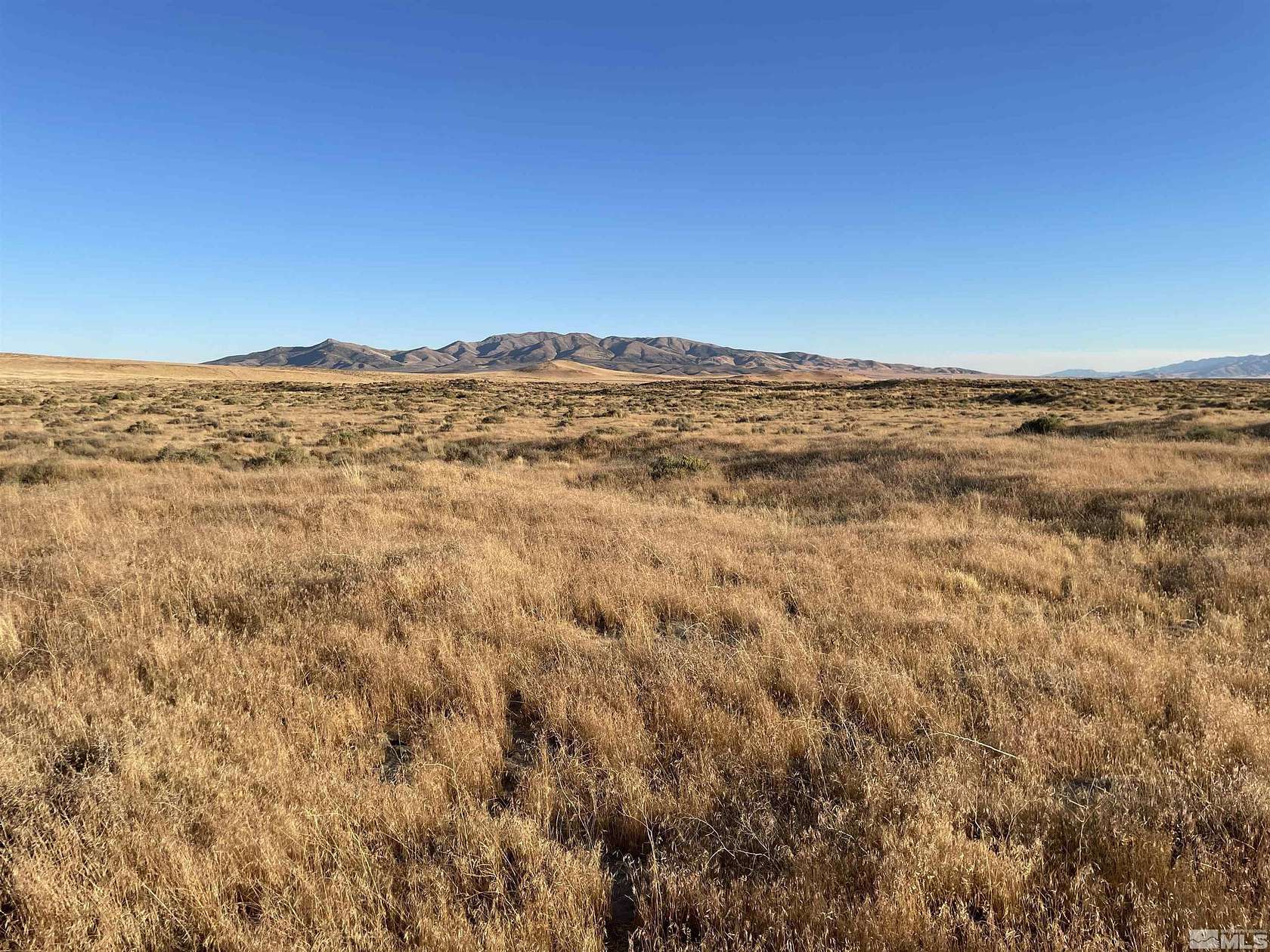 41.1 Acres of Land for Sale in Winnemucca, Nevada