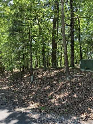 0.31 Acres of Residential Land for Sale in Hot Springs Village, Arkansas