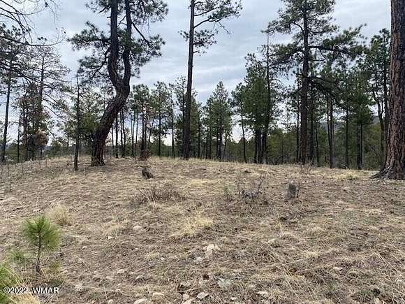 0.5 Acres of Residential Land for Sale in Alpine, Arizona