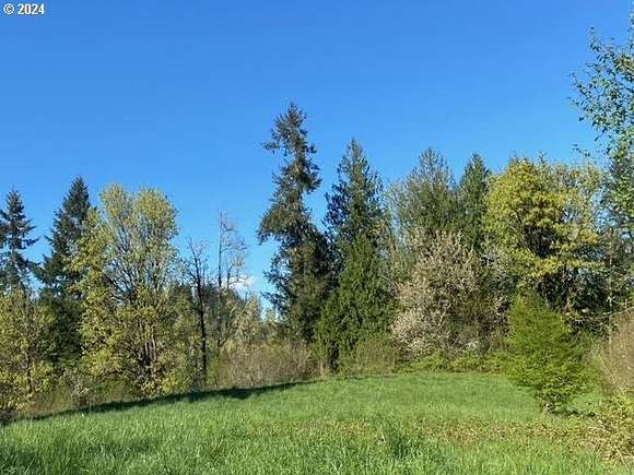 64 Acres of Recreational Land for Sale in Scappoose, Oregon